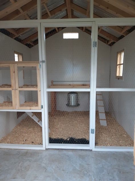 Diy Chicken Coop Ideas For Winter, Shed Coop Ideas, Half Shed Half Chicken Coop, Chicken Coop Shed Interior, Tuff Shed Chicken Coop, Chicken Coop In Shed, Chicken Coop Storage Ideas, White And Black Chicken Coop, Chicken Shed Coop