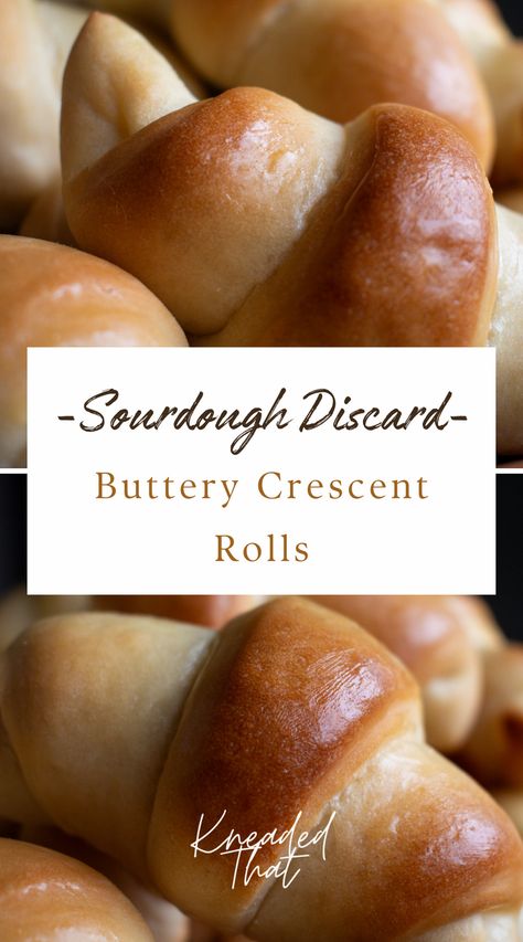 Sourdough Dinner Rolls, Easy Crescent Rolls, Homemade Crescent Rolls, Recipe Using Sourdough Starter, Sourdough Rolls, Sourdough Bread Starter, Sourdough Starter Discard Recipe, Gluten Free Sourdough, Homemade Sourdough Bread