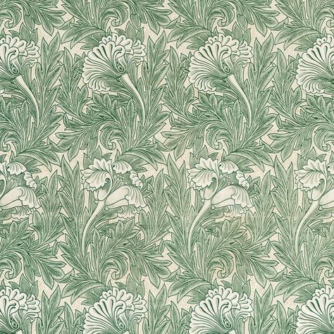 Green tulip flower pattern illustration | premium image by rawpixel.com / Aom Woraluck William Morris Wallpaper, William Morris Patterns, Sage Green Wallpaper, Morris Wallpapers, Free Illustration Images, Poster Shop, Cleveland Museum Of Art, Tulip Flower, Free Illustration