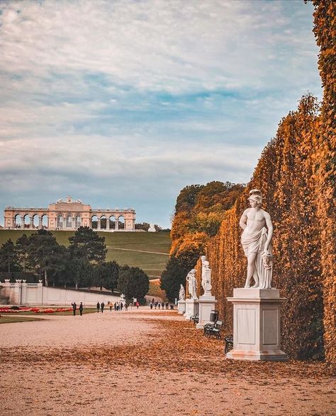 Vienna 🇦🇹 (@vienna_austria) • Instagram photos and videos Austria Landscape, Sunset Autumn, Vienna State Opera, Autumn Sun, Travel Architecture, National Library, Sun City, City Photography, Vienna Austria