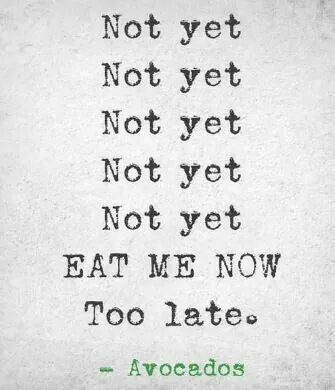 Perfect timing required Pinterest Humor, Eat Me, A Quote, How I Feel, Bones Funny, Make Me Happy, Wise Words, I Laughed, Me Quotes