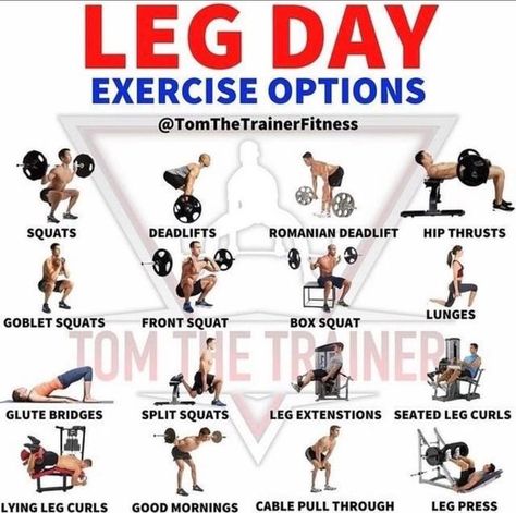 Fitness | Gym | Diet on Instagram: "Here’s a good list of leg day options for those wanting to add to their leg day 💪 Follow @goldgemfitness for more! Follow @goldgemfitness for more! Follow @goldgemfitness for more! Credit @tomthetrainerfitness #legdayexercises #legexercises #legexercise #legdayworkout #legdayeveryday #fitnessguide #gymhelp #fitnessadvice #gymguide #gymhack #gymmotivation #fitnesslife #legdayworkouts" Leg Lifts Workout, Dumbbell Leg Workout, Lower Workout, Leg Days, Leg Workouts Gym, Workout Gym Routine, Gym Diet, Lifting Workouts, Gym Workout Chart