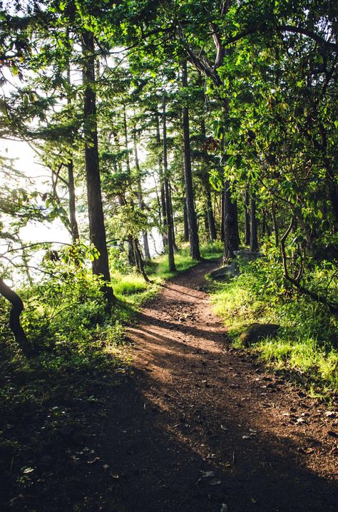 West coast path (Vancouver Island, BC) by DeepLovePhotography cr.c. Path In The Woods, Side Road, Image Nature, Country Side, Walk In The Woods, Jolie Photo, Into The Wild, Into The Woods, Alam Yang Indah