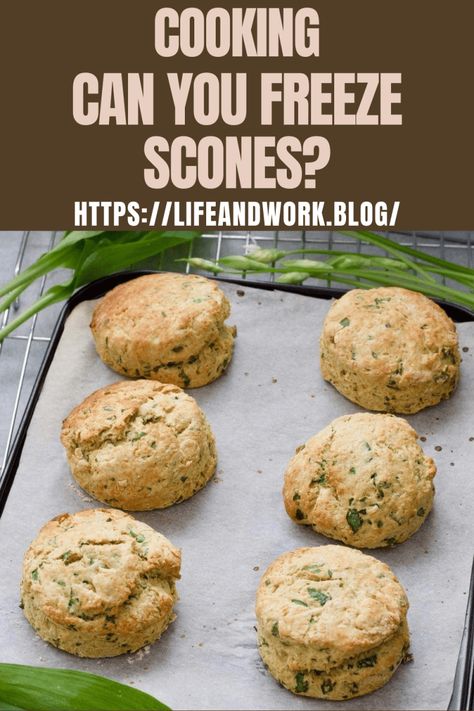 Cooking And Homemaking - Can You Freeze Scones? Can You Freeze Scones, Freezing Scones, Baking Scones, Moroccan Garden, Scones Easy, Cheese Scones, Pumpkin Scones, Best Pumpkin, Scone Recipe