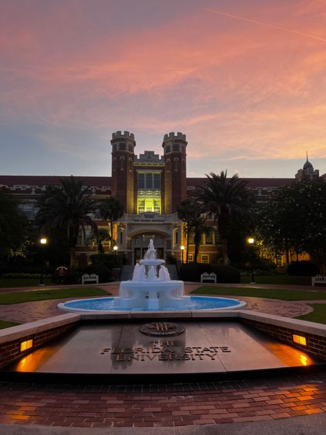 Florida State Aesthetic, Fsu Campus Aesthetic, Florida University Aesthetic, Fsu Aesthetic, Fsu Wallpaper Aesthetic, University Of Florida Campus, Florida State University Aesthetic, Fsu Vs Uf, Florida State University Campus