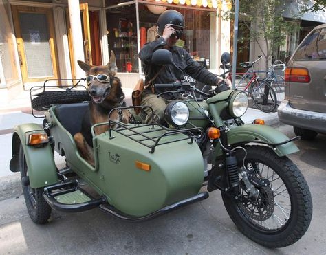 Ural Bike, Biker Dog, Sidecar Motorcycle, Ural Motorcycle, Military Motorcycle, Motos Harley, Motorcycle Sidecar, Motorcycle Art, Cool Motorcycles