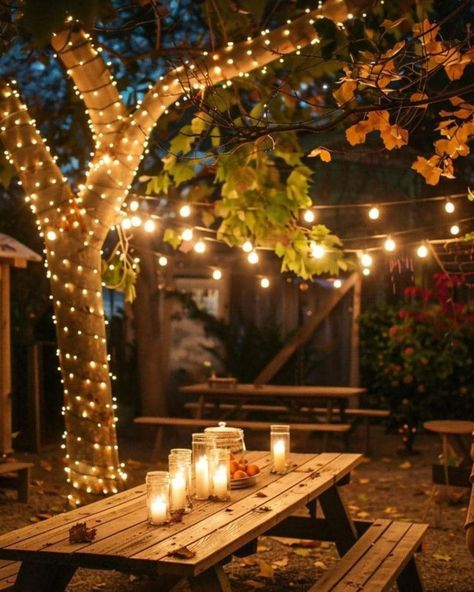 Garden Ceremony Wedding, Wedding Lighting Ideas, Budget Friendly Lighting, String Lighting, Garden Ceremony, Diwali Lights, Outdoor Fairy Lights, Patio String Lights, Outdoor Trees