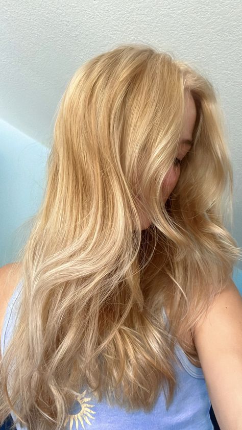 Long Golden Blonde Hair With Layers, Golden Blonde Beach Hair, Golden Sandy Blonde Hair, Strawberry Blonde With Blue Eyes, Strawberry Blonde With White Highlights, Golden Hour Blonde Hair, Light Ginger And Blonde Hair, Light Natural Blonde Hair Color, Strawberry Blonde Hair On Pale Skin