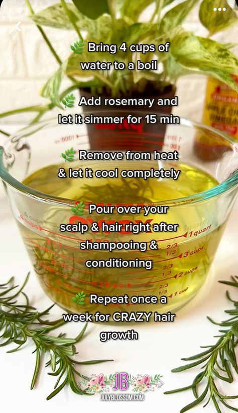 Rosemary Hair Rinse, Hair Herbs, Rosemary Water For Hair Growth, Rosemary Water For Hair, Rosemary For Hair, Diy Hair Growth, Rosemary Hair, Rosemary Water, Longest Hair