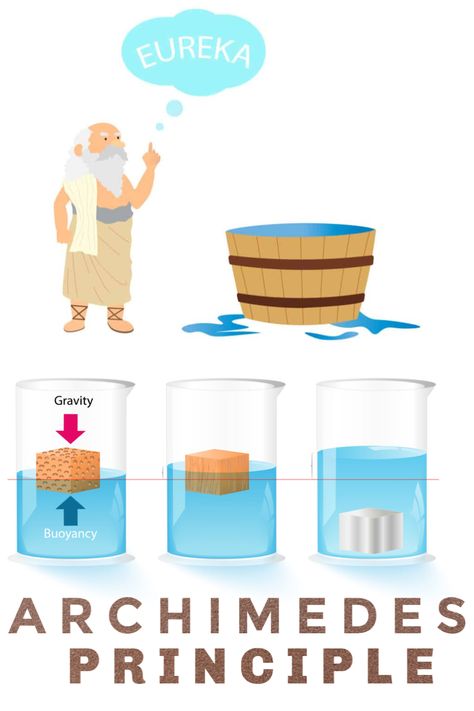 What is the Archimedes Principle - learn about buoyancy with this fun activity #archimedes #famousscientists #scienceforkids Hukum Archimedes, Science Questions For Kids, Archimedes Principle, Le Chatelier's Principle, Density Worksheet, Science Anchor Charts, Physics Lessons, Science Questions, Homeschool Science