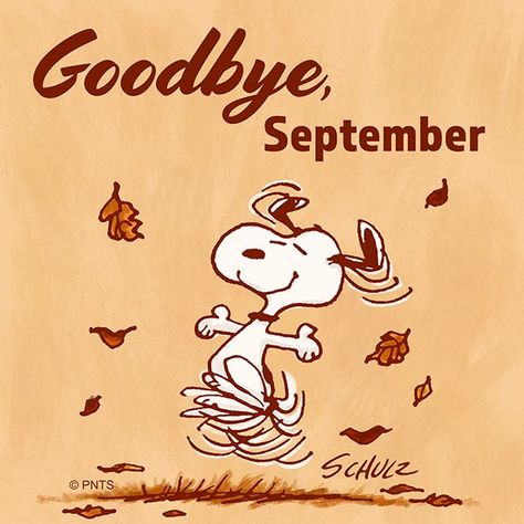 PEANUTS on Twitter: "See you next year, September!… " Goodbye September, Mommy Pooch, Woodstock Peanuts, Single Mom Life, Snoopy Funny, Snoopy Quotes, Snoopy Pictures, Snoopy Love, Fall Halloween Crafts