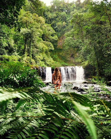 Far North Queensland, North Queensland, Daintree Rainforest, Mission Beach, Bus Travel, Travel Wishlist, Local Travel, Rock Pools, Cairns