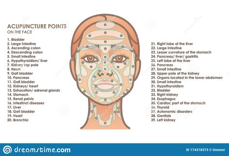 Drain Sinuses, Point Acupuncture, Eastern Medicine, Kinesio Taping, Face Mapping, Kinesiology Taping, Lower Abdomen, Acupuncture Points, Acupressure Points