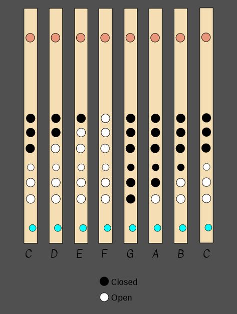 Bamboo Flute Notes, Flute Note Chart, Flute Fingering Chart, Flute Notes, Flute Lessons, Collage, Music, Pins, Quick Saves