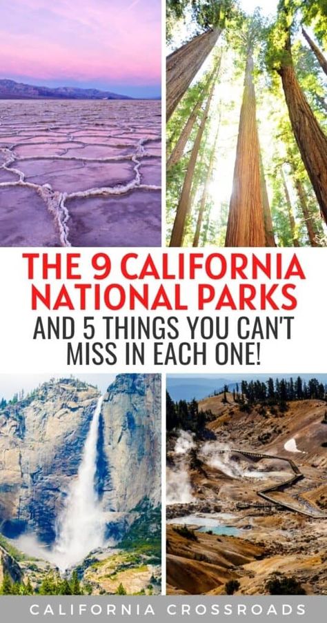 The 9 Epic National Parks in California ( 45 Can’t-Miss Sights) National Parks In California, National Park Bucket List, Pinnacles National Park, Channel Islands National Park, Lassen Volcanic National Park, Best National Parks, Redwood National Park, California Road Trip, California Trip