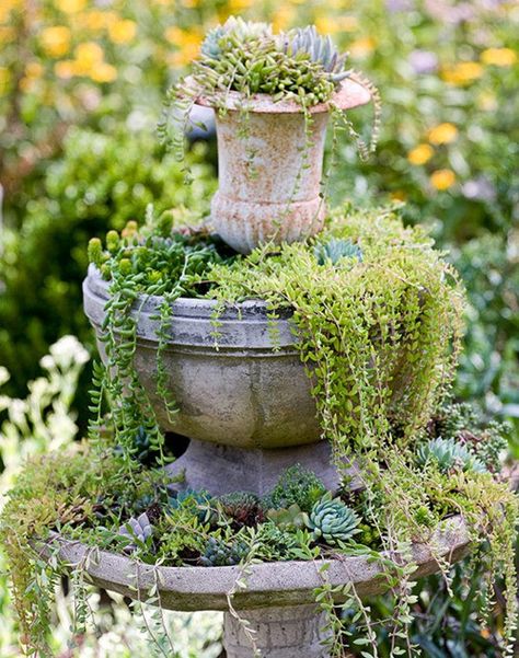 waterfall planter of succulents Plants Outdoor, Flowers Shop, Growing Succulents, Garden Containers, Porch Design, Enchanted Garden, Cactus Y Suculentas, Flower Bed, Landscaping Plants