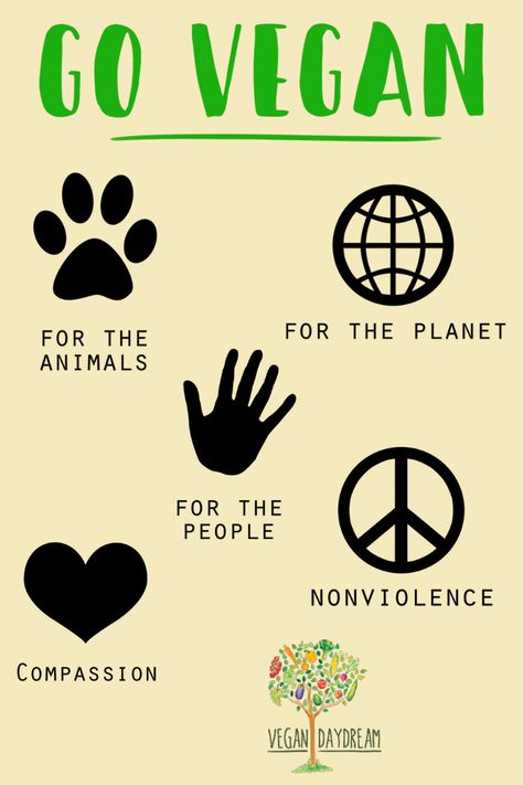 There are many reasons that people go vegan. Vegan for the animals, vegan for the planet, vegan for the people, or vegan for health. What ever the reason it makes the world a better place.  #vegan #govegan #plantbased Vegan Lifestyle Inspiration, Vegan For The Animals, Dairy Free Chocolate Cake, Vegan Coleslaw, Vegan Bolognese, Environmentally Friendly Living, Vegan Quotes, Vegan Inspiration, Go Vegan