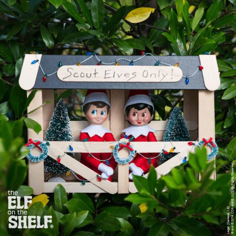 Elf Tree, Elf Magic, Awesome Elf On The Shelf Ideas, The Elf On The Shelf, Xmas Elf, Elf Antics, Elf Fun, Christmas Preparation, Elf House