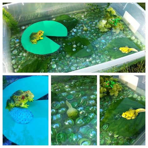 PERFECT for our preschool classes - frog pond life cycle sensory bin- have all this stuff.. and the kids would have a blast acting it all out.. Frog Sensory Bin, Pond Sensory, Frog Activities, Frog Pond, Lifecycle Of A Frog, Frog Theme, Frog Life, Frog Crafts, Pond Life