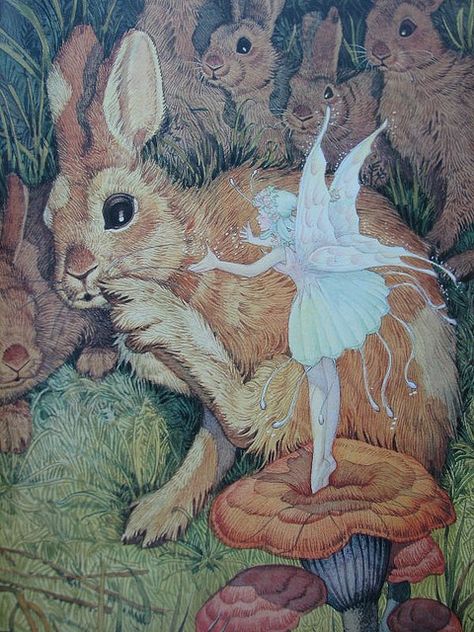 Velveteen Rabbit. Velveteen Rabbit, Fairy Illustration, Fairy Pictures, Fairies Elves, Vintage Fairies, Fairy Magic, Flower Fairies, Fairytale Art, Alphonse Mucha