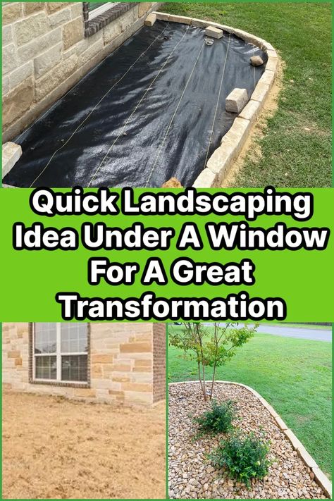 We transformed a boring area under a window with this quick landscaping idea. These plants are great for hot, dry climates and don't require as much water. They do well in full son too. Check out more details in our post Front Yard Design Ideas, Garden Home Ideas, Yard Design Ideas, Yard Landscape Ideas, Garden Front Yard, Shrubs For Landscaping, Front Yard Landscape, Bushes And Shrubs, Ideas For Garden