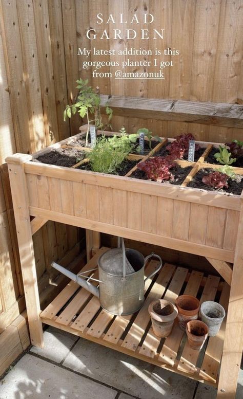 Herb Cart, Renter Friendly Garden, Raised Herb Garden Ideas, Apartment Greenhouse, Rooftop Garden Ideas, Organized Garden, Small Backyard Garden, Small Vegetable Garden, Salad Garden