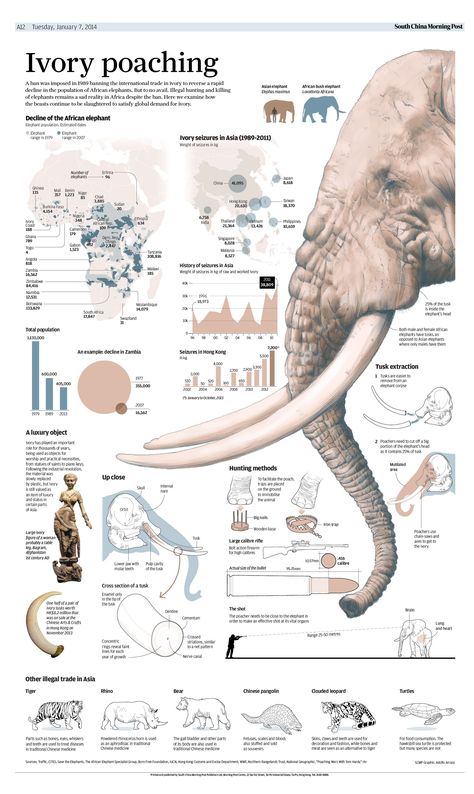 Animal Infographic, Scientific Poster, Infographic Inspiration, Information Visualization, Data Visualization Design, Graphic Design Infographic, Infographic Poster, Infographic Illustration, Newspaper Design