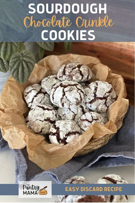 Delicious sourdough chocolate crinkle cookies made with sourdough discard or sourdough starter and cocoa powder. Sourdough Chocolate Crinkle Cookies, Sourdough Discard Brownies Cocoa Powder, Sourdough Crinkle Cookies, Sourdough Discard Chocolate Cookies, Sourdough Chocolate Cookies, Sourdough Starter Cookies, Sourdough Discard Christmas Cookies, Sourdough Cookies Recipe, Sourdough Discard Cookies