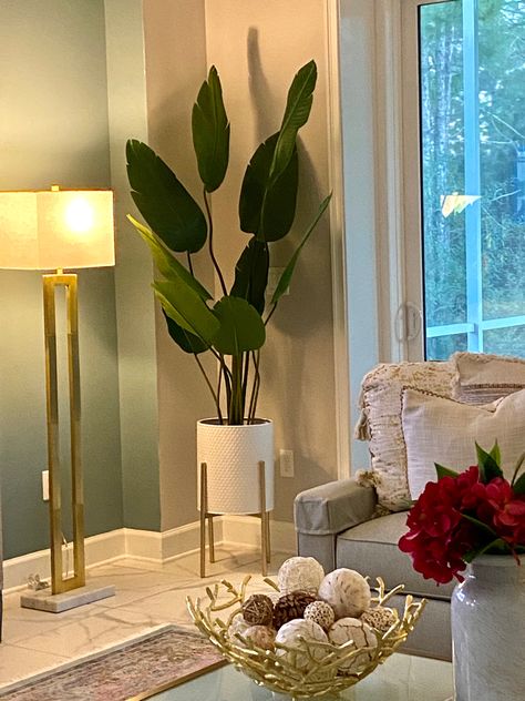 Flower Pots Living Room Ideas, Plant Decor Living Room Luxury, Big Vases Decor Living Room, Living Room With Plants, Flowers For Living Room, Living Room Designs Apartment, Plants For Living Room, Living Room Flowers, Vases Decor Living Room