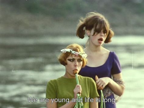 Daisies 1966, I Love Cinema, Movie Lines, Film Quotes, Tv Quotes, Classic Films, Film Serie, Film Aesthetic, Film Stills