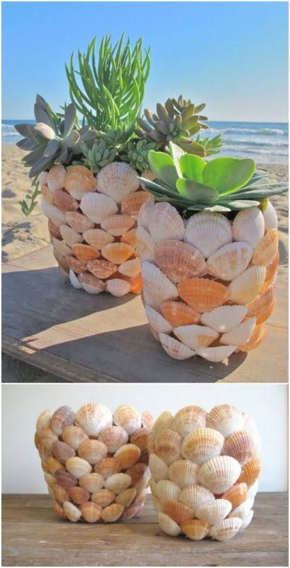 Beautiful Seascape Succulent Planter Diy Flores, Fleurs Diy, Diy Flower Pots, Shell Crafts Diy, Succulents Indoor, Seashell Art, Diy Garden Projects, Beach Crafts, Seashell Crafts