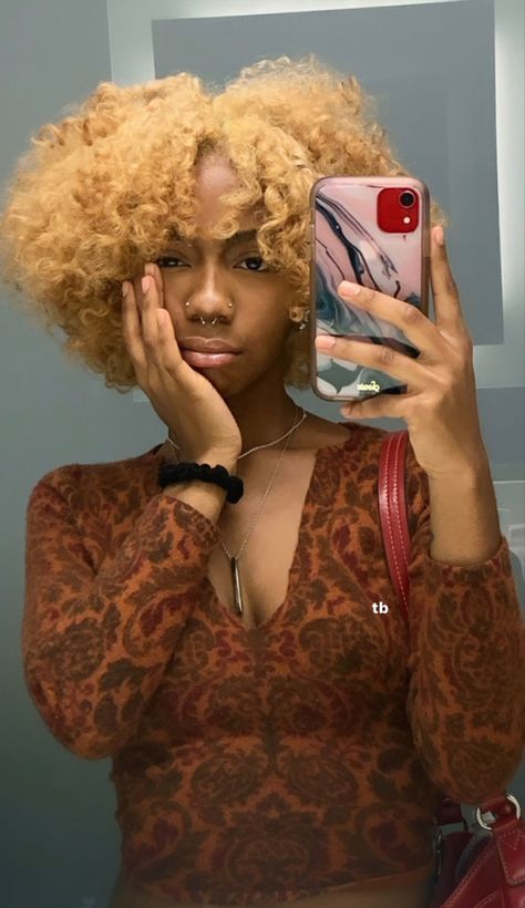 Blonde 4c Hairstyles, Sandy Blonde Natural Hair Black Women, Dyed Afro Hair 4c Blonde, 4c Natural Hair Color Ideas, 4c Colored Hair, Blond Natural Hair Black Women, Honey Blonde 4c Natural Hair, 4c Blonde Hair, Blonde Hair Black Women Natural