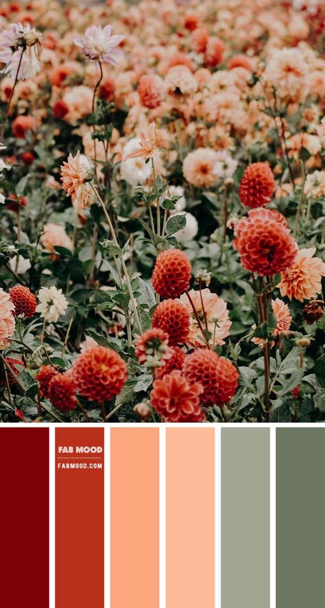 Red Peach and Sage Color Scheme – Color Palette #49 1 - Fab Mood | Wedding Colours, Wedding Themes, Wedding colour palettes Sage Color Scheme, Sage Color Palette, Red Colour Palette, Color Schemes Colour Palettes, Red Peach, Sage Color, Color Palate, Color Palette Design, Green Copper