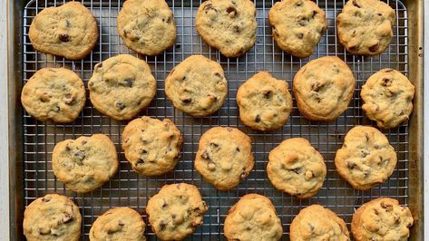 Like many Texas mothers, Barbara Bush was known for a handful of recipes. We thought we’d give her famous Chocolate Chip Cookies a try. Famous Chocolate Chip Cookies, Cowboy Cookie, Grandma Cookies, Famous Desserts, Classic Cookies Recipes, Easy Peanut Butter Cookies, Barbara Bush, Famous Chocolate, Chocolate Chip Cookie Recipe