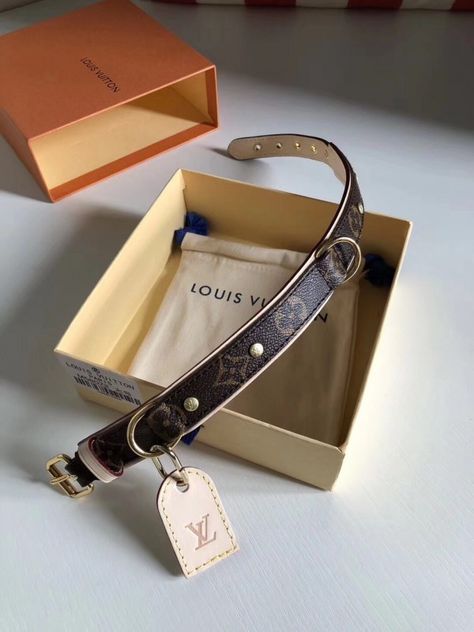 Lv Dog Collar, Short Dog Leash, Female Dog Collars, Dog Accesories, Engraved Dog Collar, Luxury Dog Collars, Replica Louis Vuitton, Cute Dog Collars, Dog Collar Bows