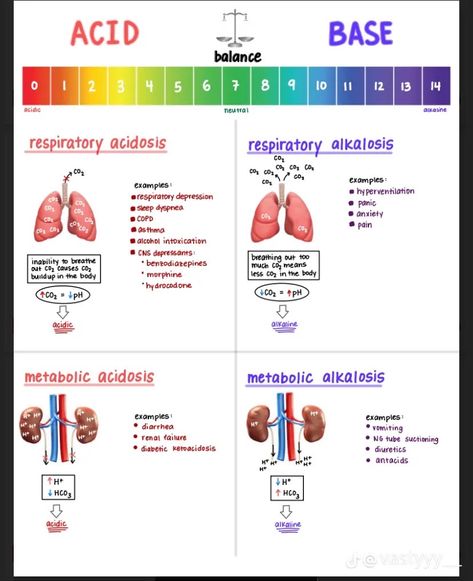 Alkalosis Vs Acidosis Nursing, Acidosis Vs Alkalosis Cheat Sheets, Advance Pathophysiology Nursing, Respiratory Acidosis Vs Alkalosis, Fluid Balance Nursing, Paramedic Pathophysiology, Rapid Response Nursing, Advanced Emt Study, Advanced Pathophysiology Fnp