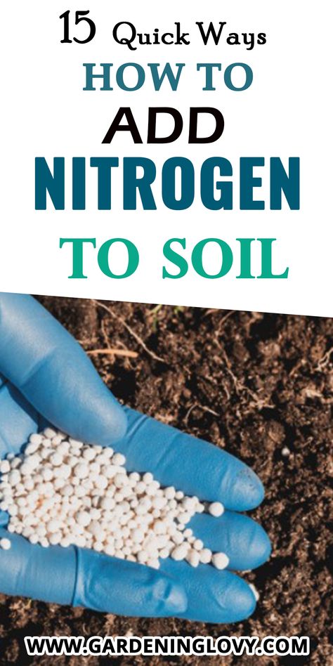 cheap ways to add nitrogen to soil

homemade nitrogen fertilizer for plants

how to add nitrogen to water for plants

how to add phosphorus to soil

how to add potassium to soil

how to add nitrogen to lawn

sources of nitrogen fertilizer

too much nitrogen in soil Add Phosphorus To Soil, Nitrogen For Plants, Homemade Plant Fertilizer, Diy Fertilizer, Plant Fertilizer, Garden Prepping, Cucumber Plant, Medicinal Garden, Vegetable Garden Planning