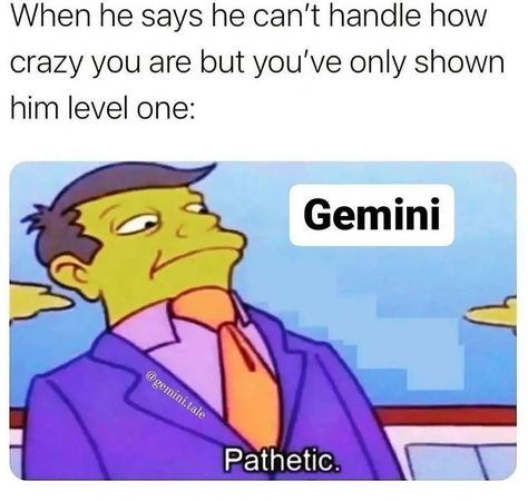 Gemini Funny, Guess My Zodiac Sign, June Gemini, Gemini Zodiac Quotes, Gemini Personality, Zodiac Signs Pictures, Gemini Quotes, Gemini Life, Astrology Gemini