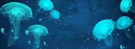 Blue Dream Beautiful Jellyfish Jellyfish Notion Header, Jellyfish Twitter Header, Teal Header, Jellyfish Header, Jellyfish Banner, Jellyfish Background, Ocean Banner, Fish Banner, Beautiful Jellyfish