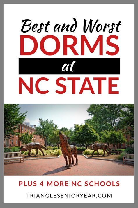 NC State class of 2026 which dorm should you live in freshmen year? Current students at NC State share their thoughts on the best and worst freshmen dorms on campus. North Carolina University campus, Raleigh North Carolina, North Carolina Raleigh, North Carolina State University, #classof2022 #classof2026 #ncstate #wolfpack #dormlife #collegedorms Nc State Tailgate, Nc State Graduation Party, Nc State Dorm Room Ideas, Nc State Aesthetic, Nc State Dorm, Ncsu Wolfpack, College Visits, Meredith College, North Carolina Colleges