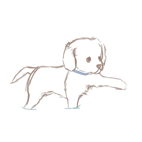 puppy sketch Puppies Sketch, Puppy Sketches, How To Draw A Puppy, Cute Puppy Sketch, Puppy Sketch Easy, Puppy Love Drawing, Puppy Line Drawing, Puppy Pencil Sketch, Puppy Sketch