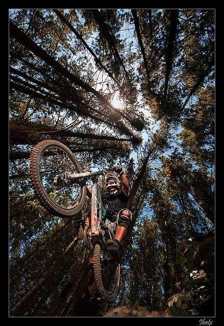 Mountain Biking Photography, Mountain Bike Art, Bike Magazine, Mtb Trails, Cycling Photography, Downhill Mountain Biking, Downhill Bike, Downhill Mtb, Bike Photography