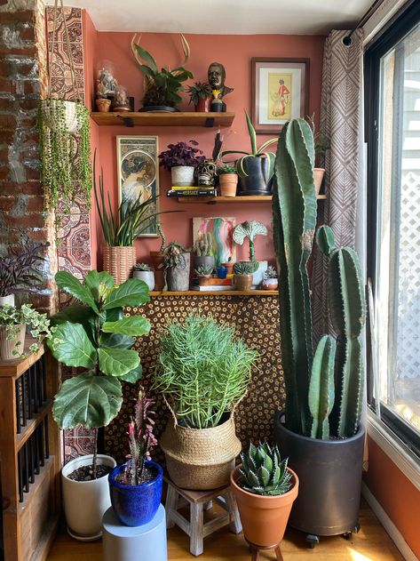 Balcony Gardening, Vertical Gardening, Plant Decor Indoor, House Plants Decor, Indoor Gardening, Room With Plants, Cactus Y Suculentas, House Plants Indoor, Plant Mom