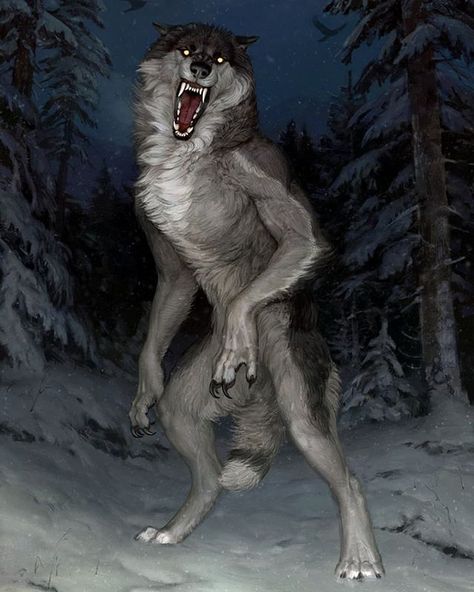 Stephen Watkins (@swatkinsjr) • Instagram photos and videos Werewolf Aesthetic, Werewolf Art, Vampires And Werewolves, Mythical Creatures Art, A Wolf, Wolf Art, Arte Fantasy, Creature Design, Horror Art