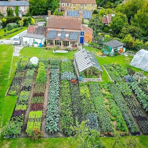 Homeacres - No-dig garden by Charles Dowding in Alhampton, Somerset, UK Some call it backyard homesteading others call it urban homesteading, suburban homesteading or backyard farming. But the basics of backyard homesteading are the same – taking the space you have and raising food on it and reclaiming vintage skills. Charles Dowding, Garden Planning Layout, Chelsea Green, Dig Gardens, Organic Home, Vegetable Garden Planning, Potager Garden, Garden Design Layout, Garden Design Plans