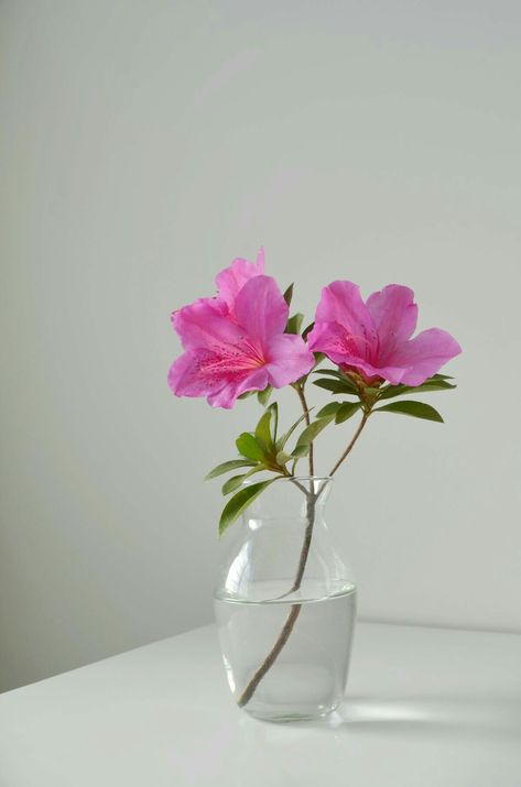 Arreglos Ikebana, Summer Flower Arrangements, Vase Plant, Glass Flower Vase, Clear Glass Vase, Flowers Photography Wallpaper, Flower Vase Arrangements, Flower Arrangements Simple, Desk Decoration