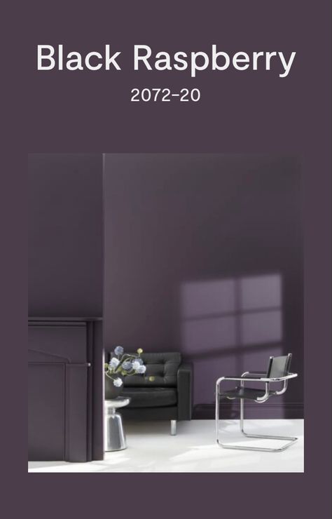 Benjamin Moore Dark Purple Paint Colors, Dark Purple Wall Paint Bedrooms, Deep Purple Accent Wall Bedroom, Dark Lavender Paint, Dark Purple Entryway, Dark Plum Bathroom Ideas, Dark Purple Kitchen Walls, Dark Purple Interior Paint, Dark Purple Wall Color