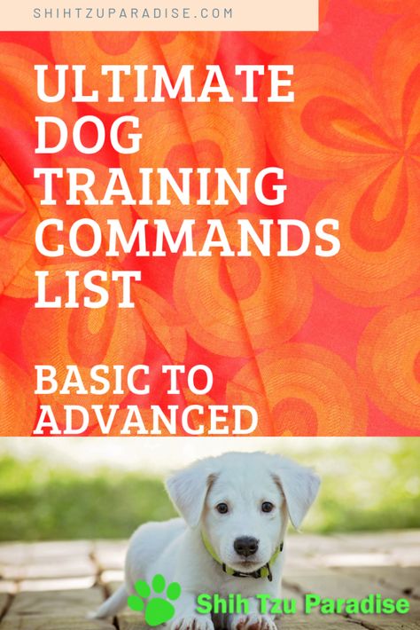 Must Know Ultimate Dog Training Commands List | Basic to Advanced - Shih Tzu Paradise Dog Commands List, How To Teach Dogs Basic Commands, Dog Training Commands List, Puppy Training Commands, Basic Puppy Training Commands, Dog Commands Training, Recall Training For Dogs, Dog Commands, Agility Training For Dogs