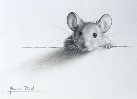 Marina Dieul: Copyright infringement: a story showing how to make easy profit with very little efforts ( as long as you are not caught) Maus Illustration, Pencil Tattoo, Mouse Drawing, Sketch Tattoo, Graphite Drawings, Art Et Illustration, Pencil Art Drawings, Arte Animal, A Pencil