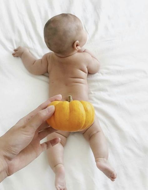 Photoshoot Ideas For Boys, Baby Fall Photoshoot, Baby Pumpkin Pictures, Fall Newborn Pictures, Fall Baby Photos, Fall Baby Pictures, Fall Photoshoot Ideas, Autumn Pictures, Baby Photoshoot Ideas